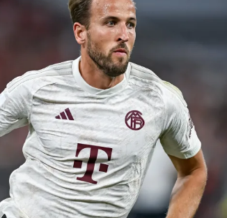 好的适应性 好的适应性